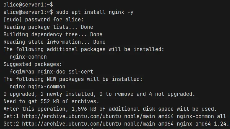 install nginx