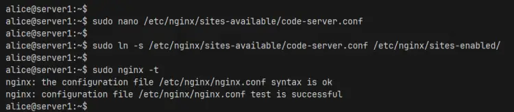 check nginx