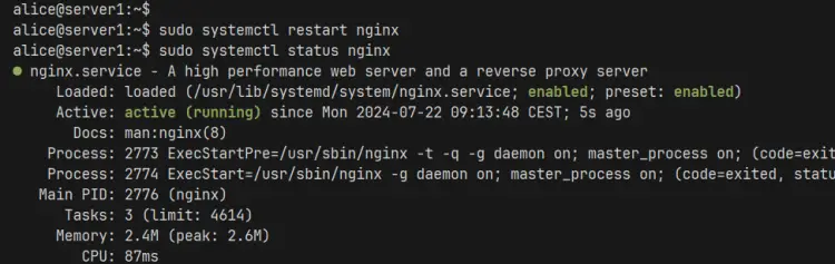 check nginx