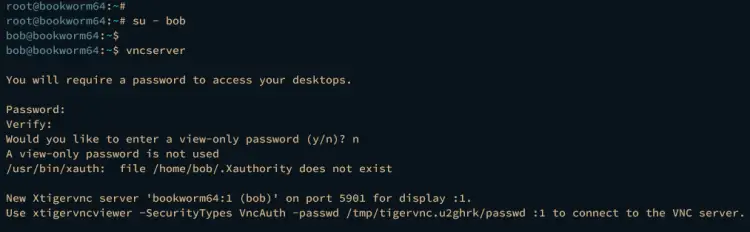 initialize vncserver