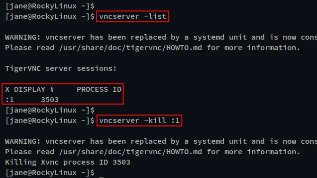 kill vnc server process