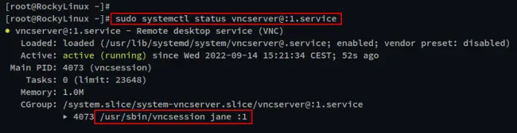 check service status vnc