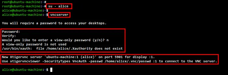 initialize vnc server