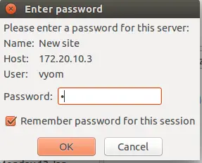 Enter the password