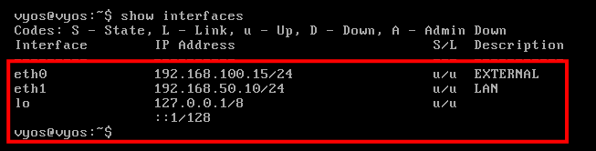 show ip address