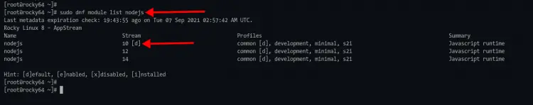 Check Node.js repository module Rocky Linux