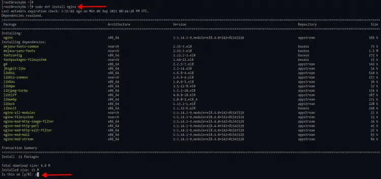 Installing Nginx Web Server