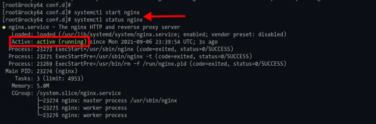 Start Nginx Service and Check Status