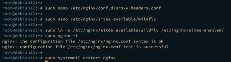setup nginx