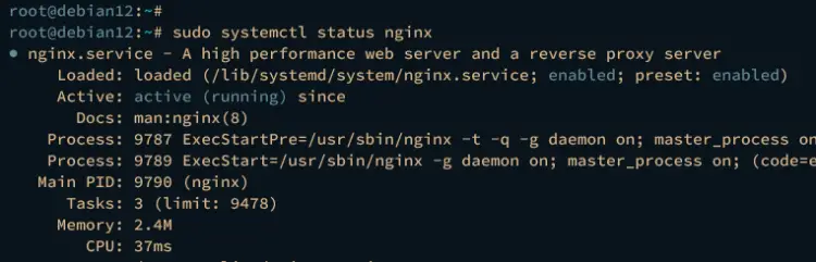 verify nginx
