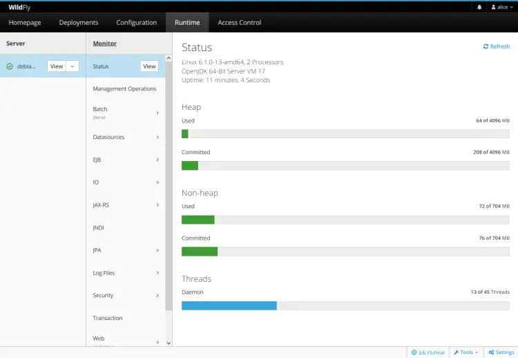 runtime status