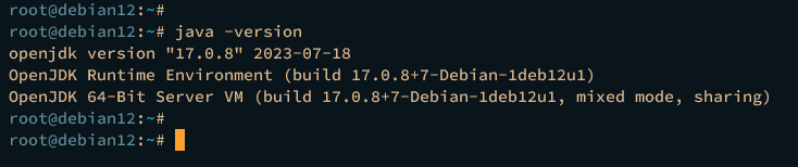 checking java version