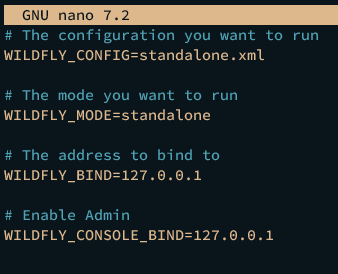 run wildfly standalone