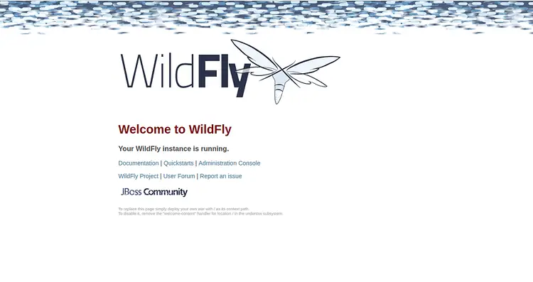 Welcome to WildFly