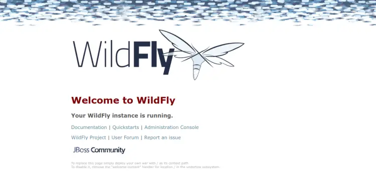 WildFly java application server