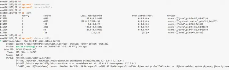 WildFly Check Port and Service