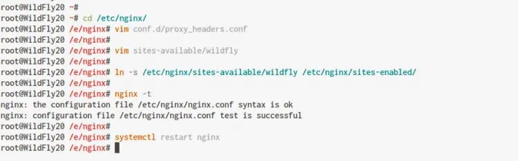 setup Nginx as a Reverse proxy for WildFly