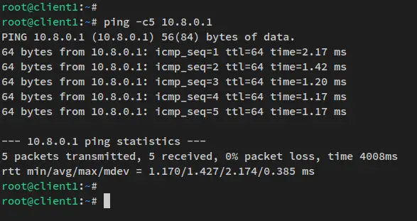 ping to wireguard server