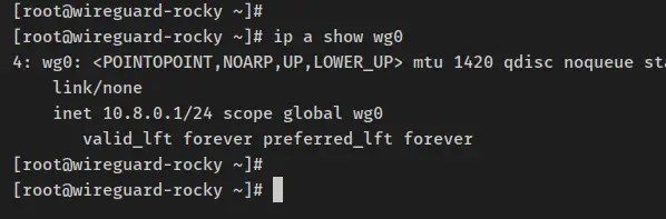 verify wireguard ip