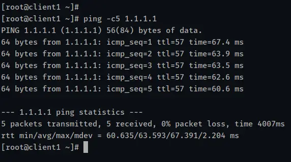 verify ping internet