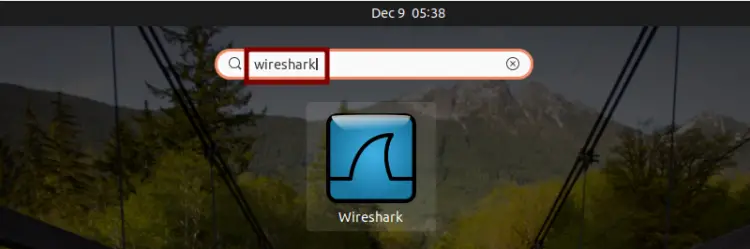 Wireshark icon