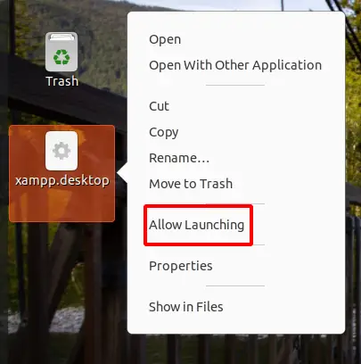 Launch XAMPP