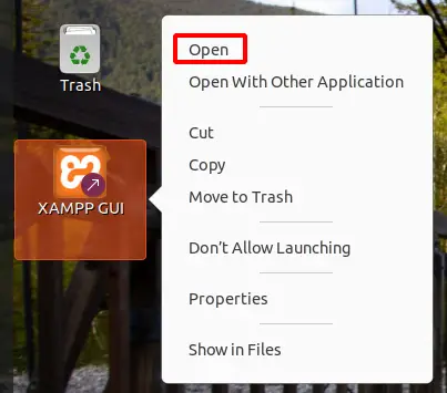 Open XAMPP