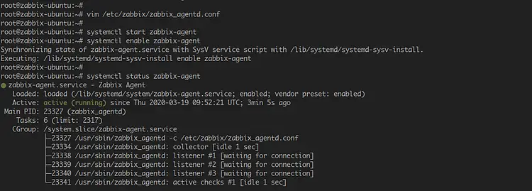 Configure Zabbix Agent