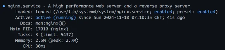 check nginx