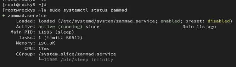 zammad running