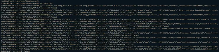 zeek json log