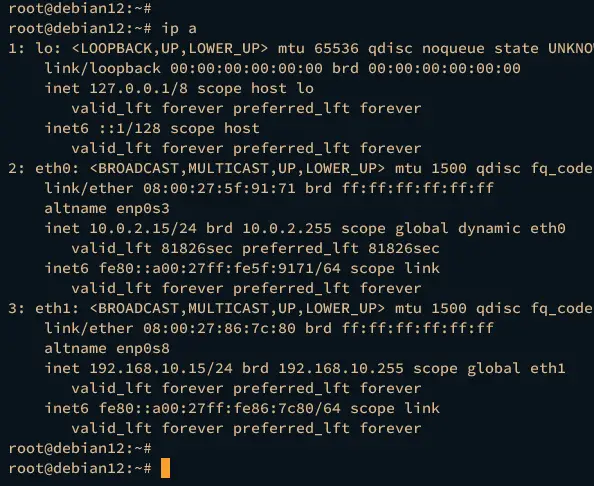 check ip