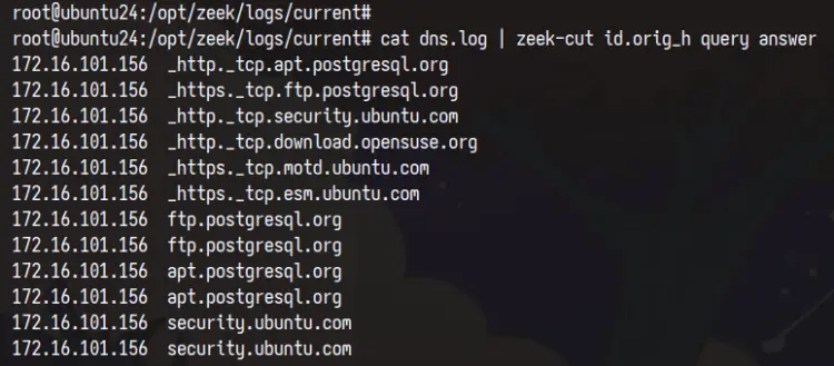 zeek log