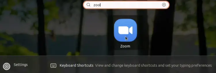 zoom-client launch