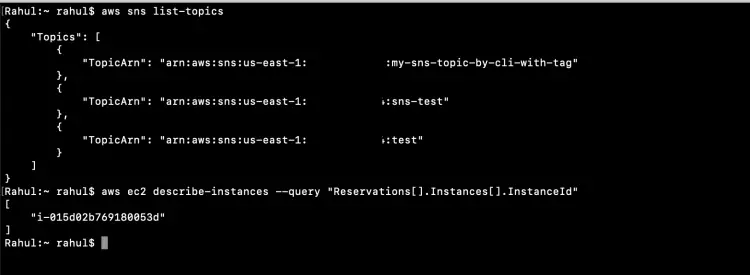 List SNS Topics and EC2 instance IDs