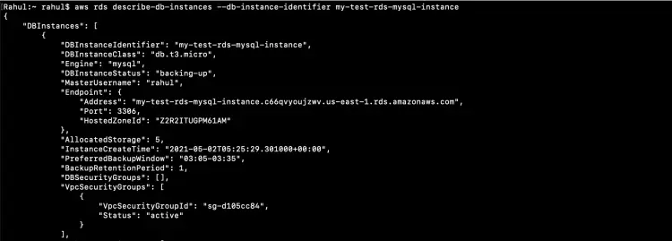 Describe the RDS instance
