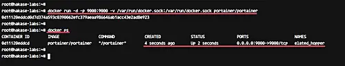 Docker ps result