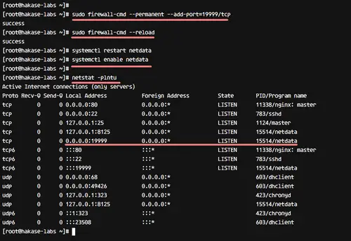 Check network port