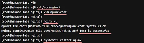 Test nginx config and restart nginx