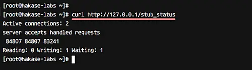 Test nginx stub status