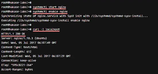Installing Nginx