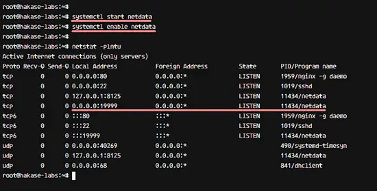 Netdata has been started