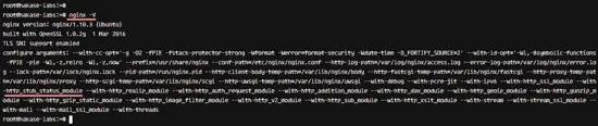 Check Nginx stub_status module