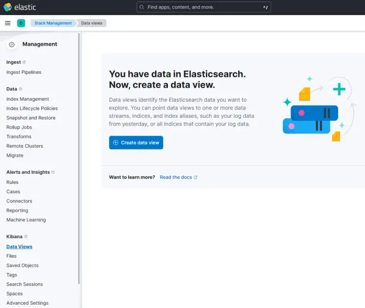 Kibana Data View Page