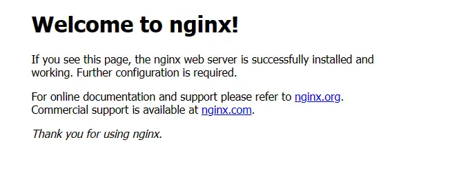 Nginx homepage