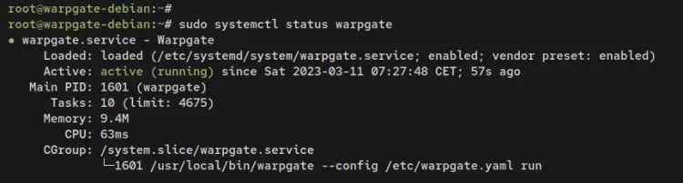 warpgate service status