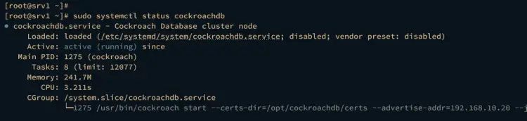 cockroachdb service on srv1