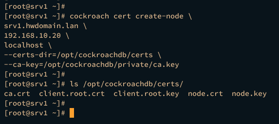 generating node certificate srv1