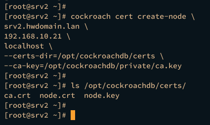 generating node certtificates srv2