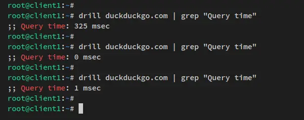 verify dns cache